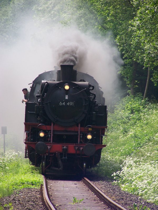Dampfbahn Frnkische Schweiz, 25. Juni 2006. Die 64491 der DFS kurz vor dem Halt in Muggendorf.