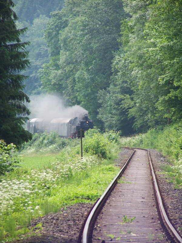 Dampfbahn Frnkische Schweiz am 25. Juni 2006. Die 64491 auf ihrem Weg von Behringersmhle nach Ebermannstadt kurz vor Muggendorf.