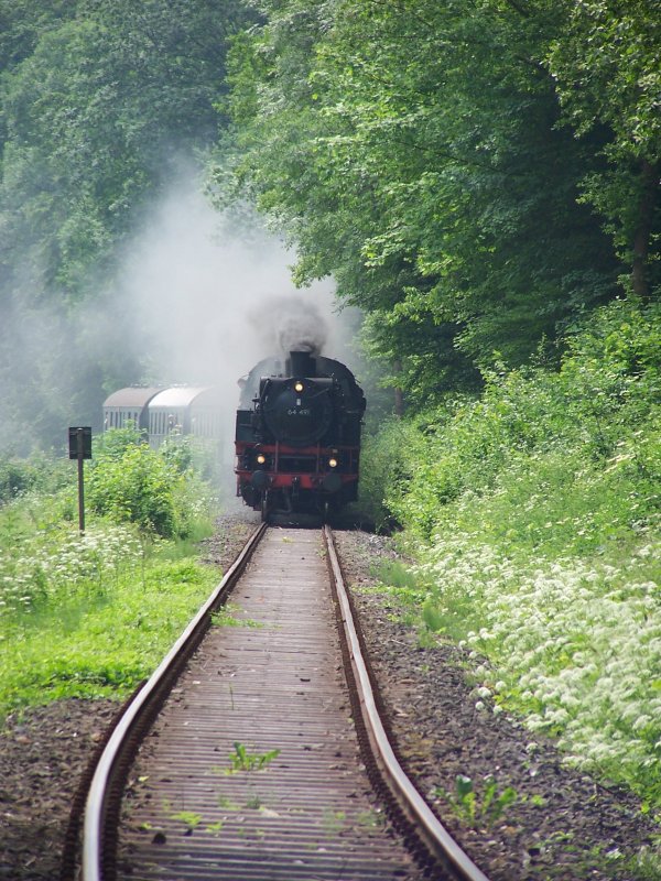 Dampfbahn Frnkische Schweiz am 25. Juni 2006. Die 64491 der DFS ist auf ihrem Weg von Behringersmhle nach Ebermannstadt gerade kurz vor Muggendorf.