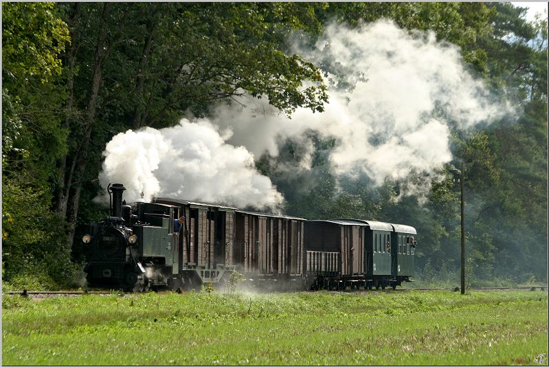 Dampflok 298.102 (Bj 1888 lteste betriebsfhige Schmalspurdampflok sterreichs) fhrt anlsslich des Jubilums 120 Jahre Steyrtalbahn von Steyr nach Grnburg.
Pergern 06.09.2009