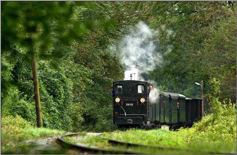 Dampflok 298.102 (Bj 1888 �lteste betriebsf�hige Schmalspurdampflok �sterreichs) f�hrt anl�sslich des Jubil�ums 120 Jahre Steyrtalbahn von Gr�nburg nach Steyr. 
06.09.2009 