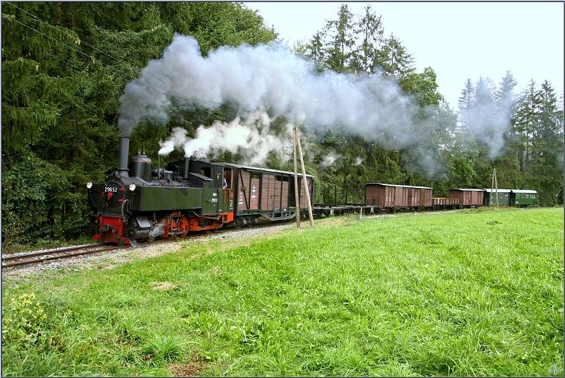 Dampflok 298.52 fhrt mit einem GmP anlsslich des Jubilums 120 Jahre Steyrtalbahn von Steyr nach Grnburg. 
Letten 06.09.2009
