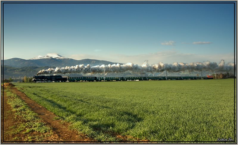 Dampflok 52.4984  Eberhard  fhrt mit einem Sonderzug von Zeltweg nach Enns.Im Hintergrund ist der Gring zu sehen.
Lind bei Zeltweg 3.5.2008