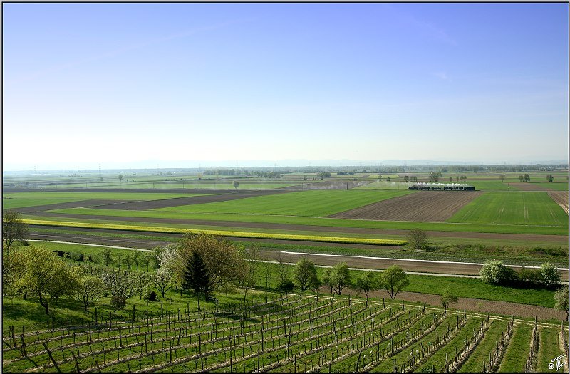 Dampflok 629.01 fhrt mit SDZ 16258 von Wien Sd Ostseite nach Aggsbach-Markt in der Wachau. 
Eggendorf 19.04.2009