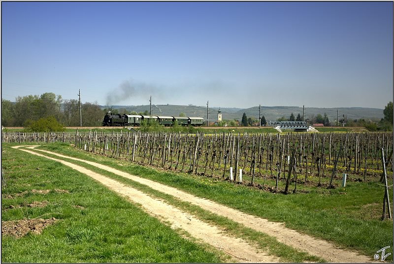 Dampflok 629.01 fhrt mit SDZ 16258 von Wien Sd Ostseite nach Aggsbach-Markt in der Wachau. 
Hadersdorf am Kamp 19.04.2009