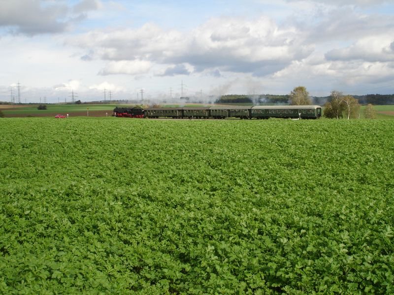 Dampflok BR 58 311 bei den Dampflokfahrten auf der SWEG Strecke
Meckesheim-Hüffenhardt am Samstag den 21.10.2006 zwischen Siegelsbach und Hüffenhardt