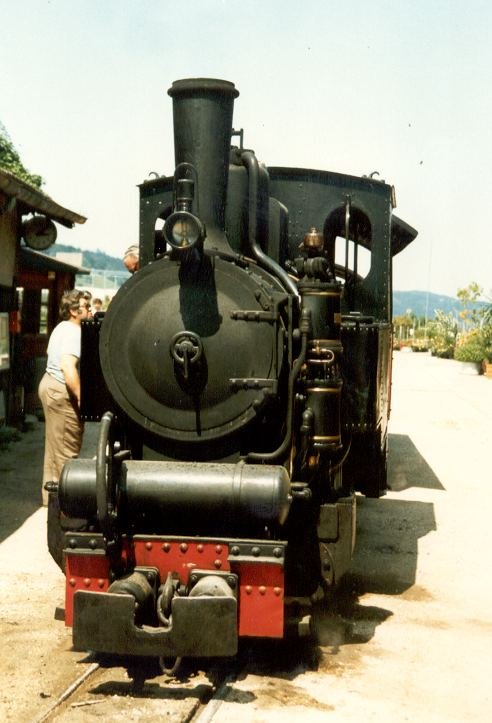 Dampflok PINUS der Baumschule in Schinznach/AG im Juli 1986