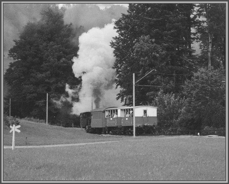 Dampflok Rosa unterwegs nach Heiden (Archiv 09/2000)