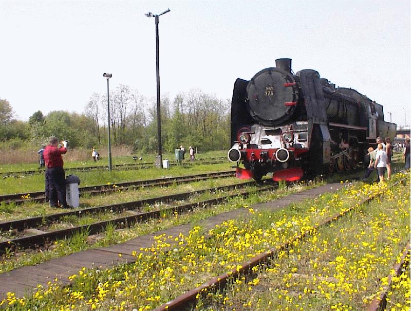 Dampflokfest am 4.5. in Wolsztyn: Ty45-379, die 1949 im HCP Poznan gebaut wurde, prsentiert sich den Besuchern. 