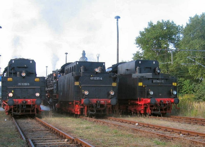 Dampflokparade im ehem.Bw Schneweide, 2 * Br 41 und eine BR 35, Tenderansichten (Aufnahme vom 1.10.2006)