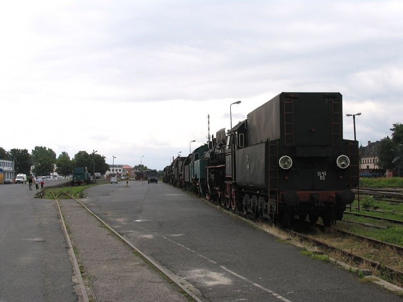 Dampfloks Ol-49 60, TKt48 143, Ty5 10, Ty51 223, Ty51 183 (rechts)und Tkt48 147 (links) in Wolsztyn am 10-07-2007.
