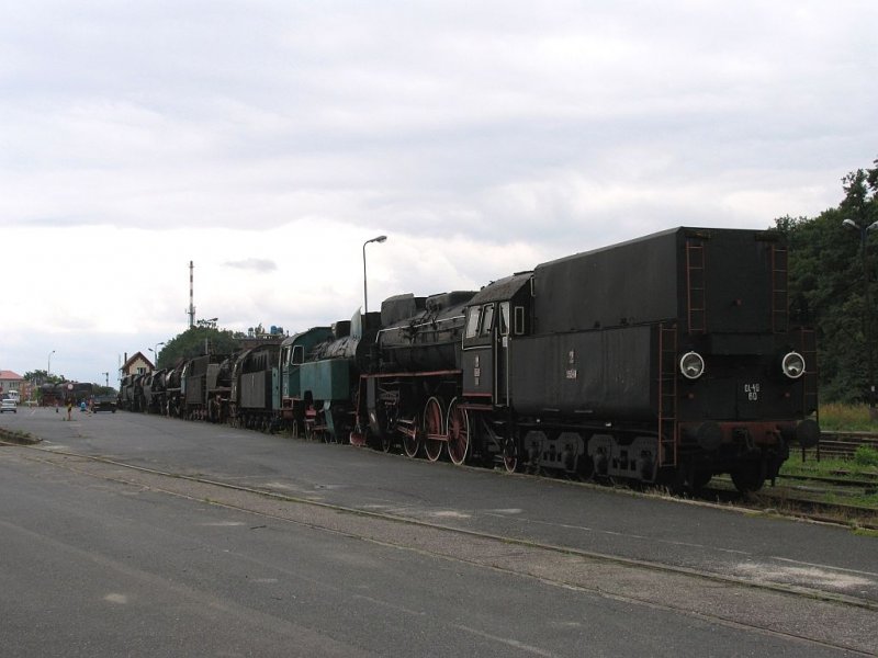 Dampfloks Ol-49 60, TKt48 143, Ty5 10, Ty51 223 und Ty51 183 in Wolsztyn am 10-07-2007.