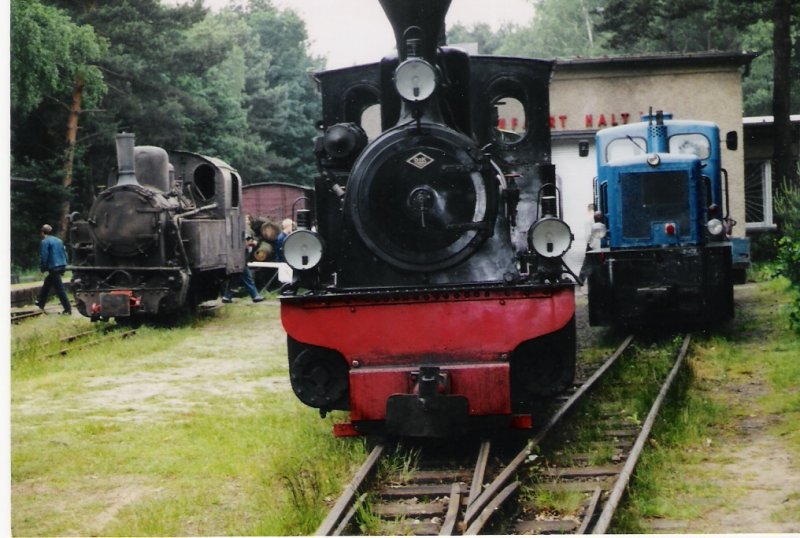 Das Betriebswerk der Berliner Parkeisenbahn. Im Vordergrund steht die Danpflok Arthur koppel (nicht mehr in der Wuhlheide), da neben die Blaue Diesellok und im Hintergrund, die fr Aufarbeitung vorgesehende Danpflok. September 2002