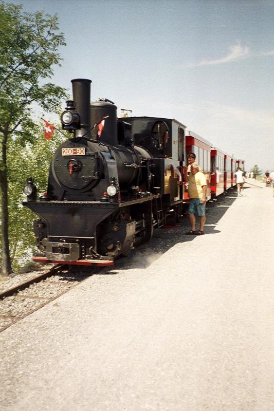 Das  Bhnle  der Rheinregulierung am Ende des Bahndammes in Hard am Bodensee im Juli 2001