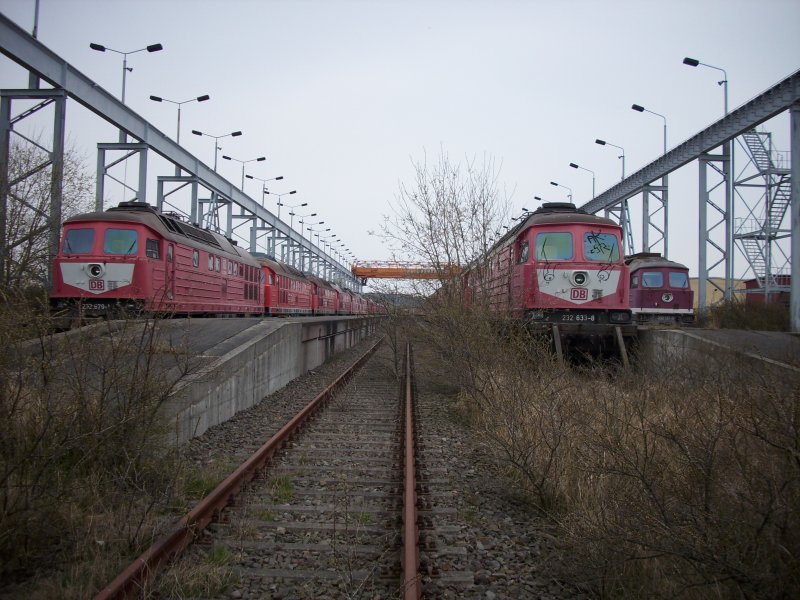 Das Bild ist wohl jedem Eisenbahnfreund bekannt! ber 30 Loks der Baureihe 232 stehen am 14.04.2008 in Mukran abgestellt.Einige Loks stehen schon einige Jahre hier !