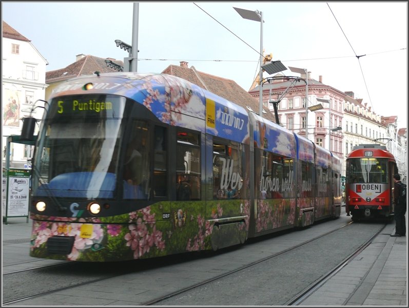 Das Blumentram nach Puntigam. (15.05.2008)