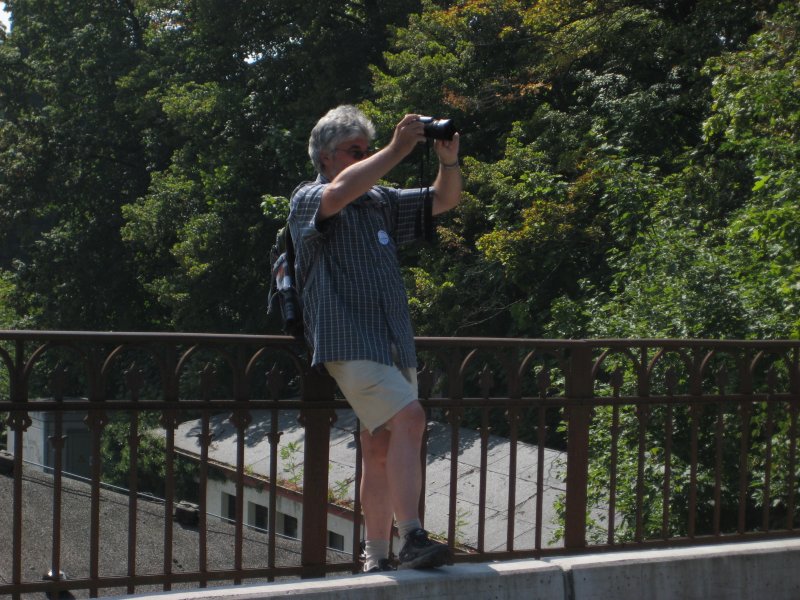 Das Gegenbild zu den vielen gelungenen Aufnahmen, die uns Herbert Graf von der Br�cke in Lindau zeigt. 