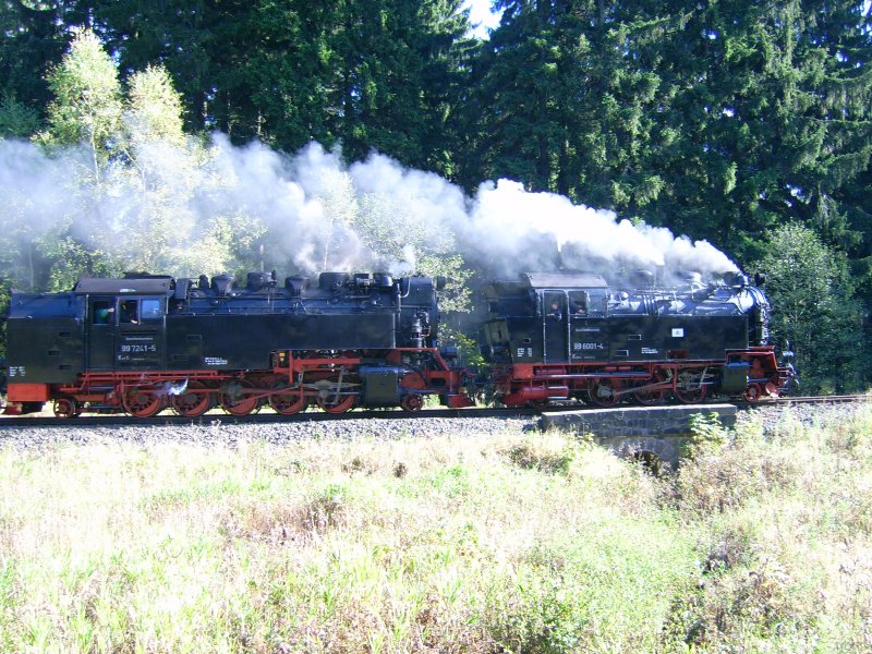 Das habe ich auch noch nie gesehen, mit Vorspann ging es am 13.10.2007 nach Eisfelder Talmhle.
Aber nur, weil die 99 6001 vom Quedlinburger Brockenexpress wieder nach Gernrode berfhrt wurde. Es war also kein Planeinsatz.