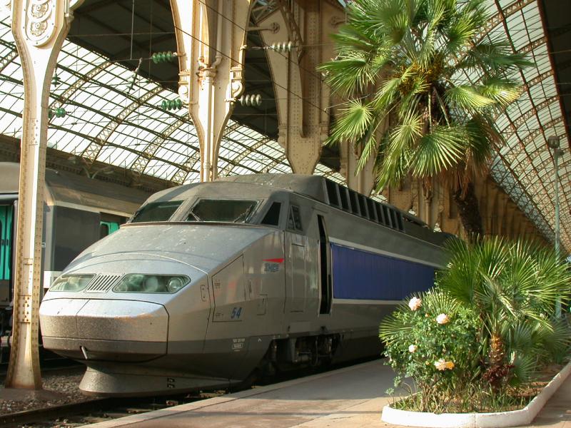 Das ist kein botanischer Garten, sondern die Bahnhofhalle von Nice-Ville. Der TGV ist soeben aus Paris eingetroffen. (08.10.2004)