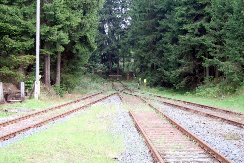 Das  Kopfstck  des Bahnhofs Rennsteig (vom Bahnsteig aus gesehen) im September 2005. Bis 1965 ging es, nicht an dieser Stelle, aber in diese Richtung ber eine eigene 4,8 km normalspurige Strecke weiter bis nach Frauenwald.
