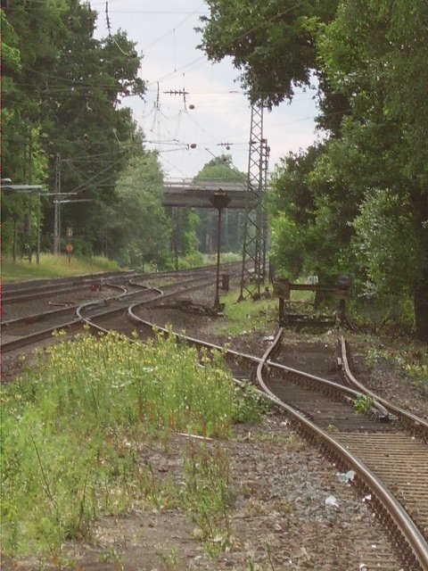 Das Stumpfgleis von Maintal Ost und die Weichenstra�e in Richtung
Frankfurt am Main. 