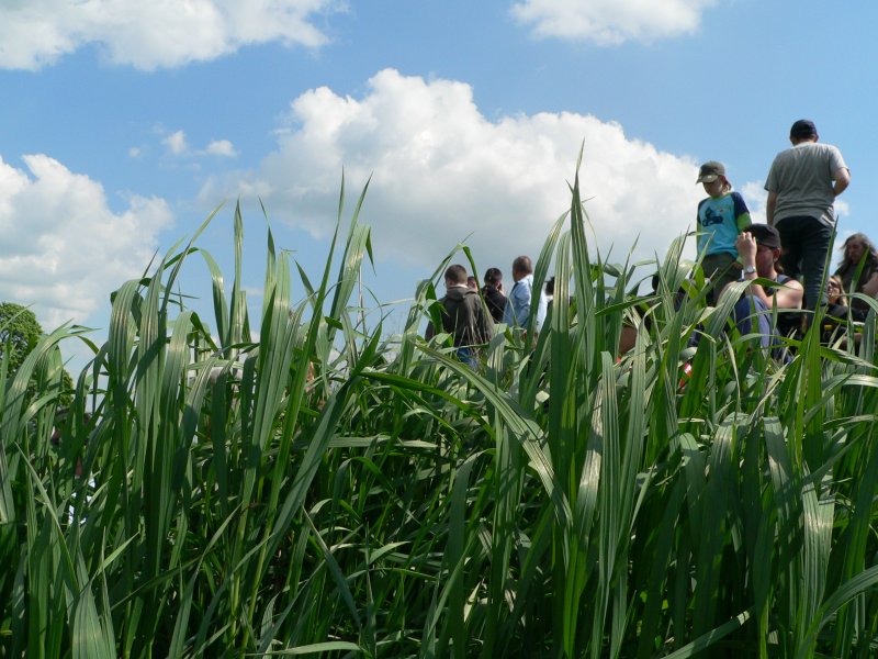 Das Warten auf die nchste Dampflok - in Wolsztyn dauerte es an diesem Tag selten lange. 3.5.2008