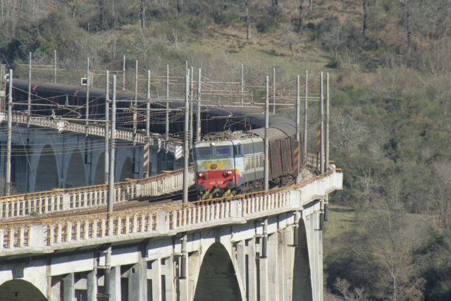 Das warten im kalten Wind hat sich gelohnt! E655 550 zieht einen Gterzug aus Calabrien ber das Viadukt von Centola in Richtung Norden; 17.02.2008