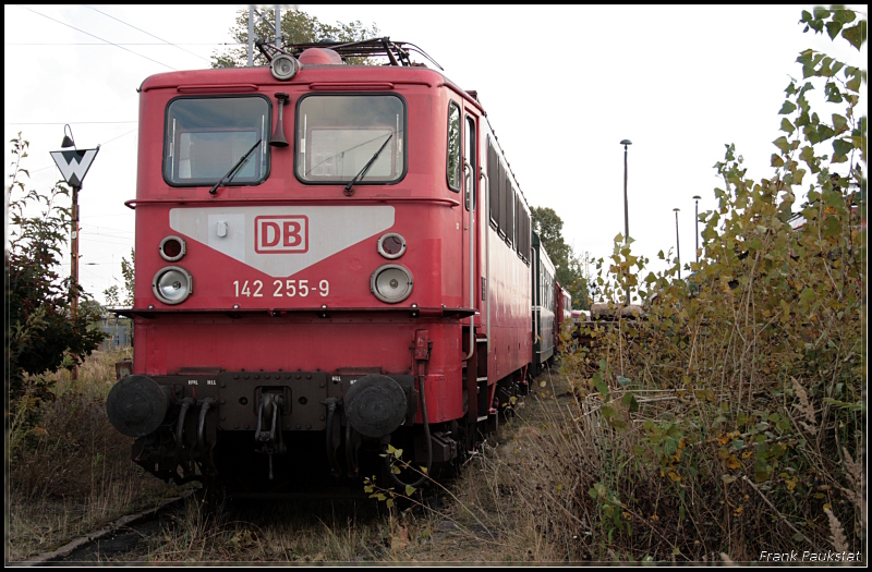 DB 142 255-9 in orientrot und mit Latz, der DB-Holzroller auf dem 6. Berliner Eisenbahnfest (Bw Schneweide 04.10.2009)