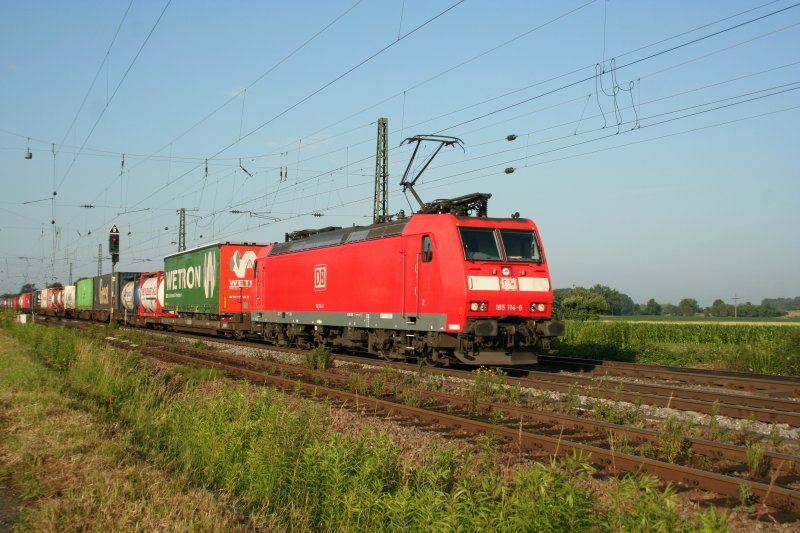DB 185 114-6 am 18.6.2008 in Niederschopfheim.