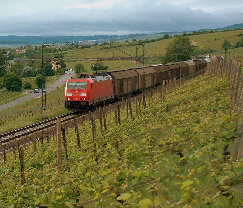 DB 185 319-1 mit einem gemischten Gterzug Richtung Wiesbaden, bei Erbach (Rheingau); 11.05.2009