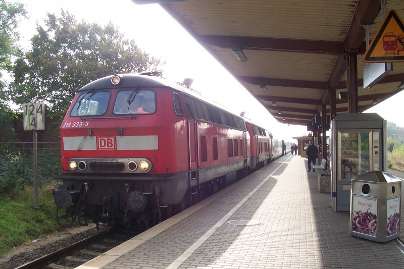 DB 218 333-3 (vorn) und 218 499-2 stehen mit einem IC nach Westerland (Sylt) am 06.10.2007 mit einem Defekt im Bahnhof Heide (Holstein). Whrend die Fahrgste mit dem nchsten Zug eine Stunde spter weiter Richtung Sylt gebracht wurden, wurde der gesamte Zug nach gut zwei Stunden von einer aus Itzehoe georderten Ersatzlok zurck nach Hamburg geschleppt.