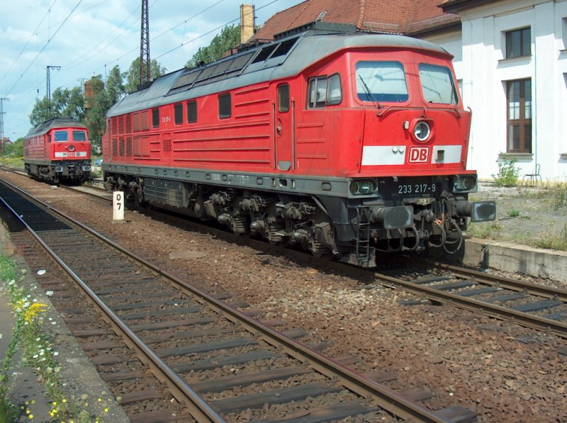 DB 233 217-9 abgestellt in Grokorbetha; 05.08.2008 