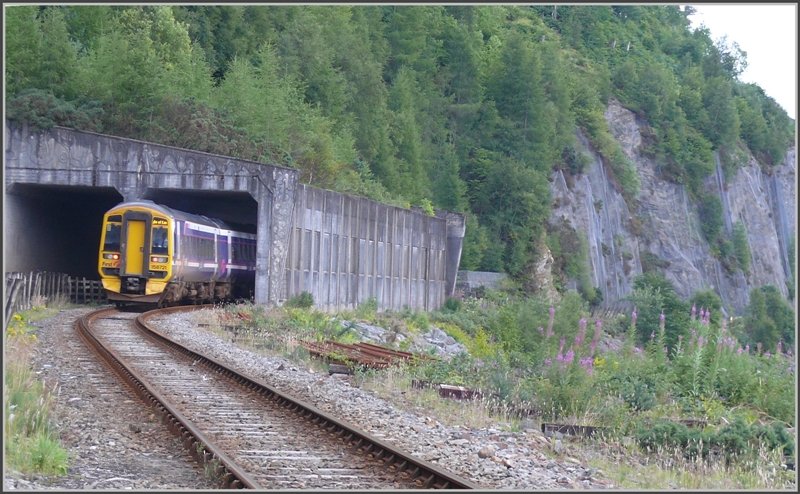 Dem Loch Carron entlang gibt es sogar einige Kunstbauten, die sich Bahn und Strasse teilen. (06.08.2008)