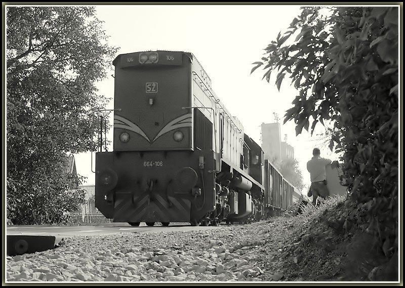 Den nchste Gterzug am 12.10.2006 erwischte ich durch Zufall. Ich stand an einer roten EK in Murska Sobota. 664-106 auf dem Weg nach Hodos. Sie wird spter ab Hodos den IC 246 bis Pragersko bespannen.