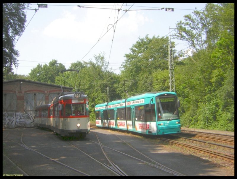 Der 2. Zug der Linie 14 �berholte am 25.06.2006 mit dem S-Triebwagen 213 den Sonderzug des Vereins Historische Stra�enbahn der Stadt Frankfurt am Main mit L-Triebwagen 124 (ex224) und l-Beiwagen 1242 an der Wagenhalle kurz vor der Endstation Neu-Isenburg. 