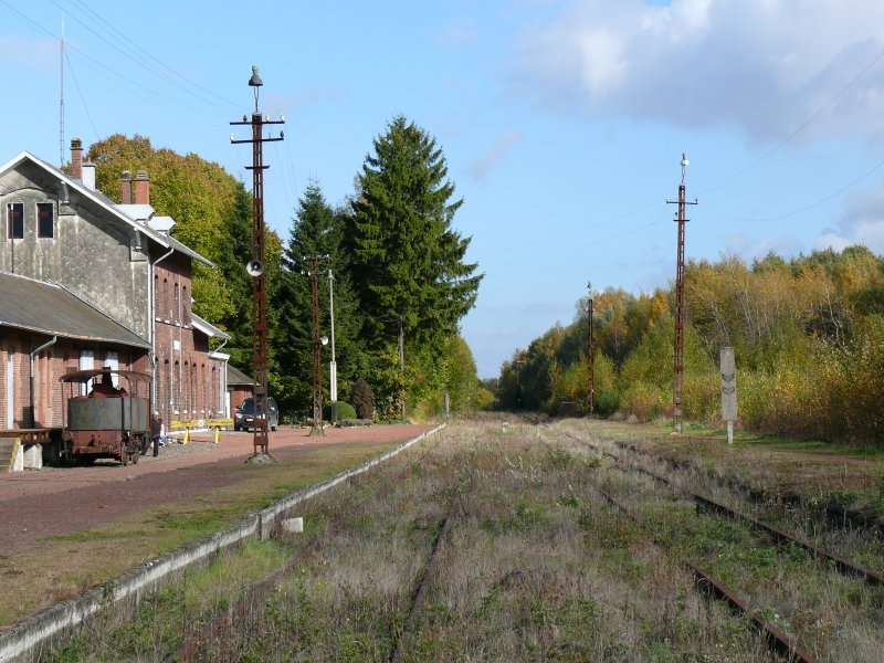 Der Bahnhof Raeren am heutigen 25/10/2009.Die Gleise sind fast komplett zugewuchert. Wenn nichts mehr geschieht, wird man im kommenden Fr�hjahr noch nicht mal mehr andeutungsweise erkennen, dass hier einst Bahnverkehr herrschte.