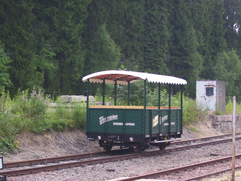 Der Beiwagen des Wernesgrner Schienenexpress (WEX) im Bahnhof Schnheide Sd. (26.07.09)