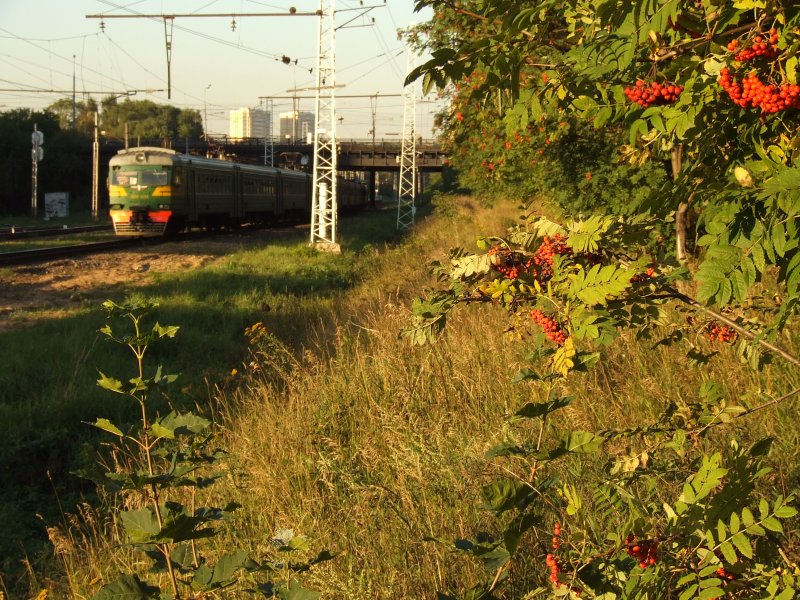 Der elektrische Zug ER2 auf den Wegen der Rigaer Richtung, Moskau 11.08.2007