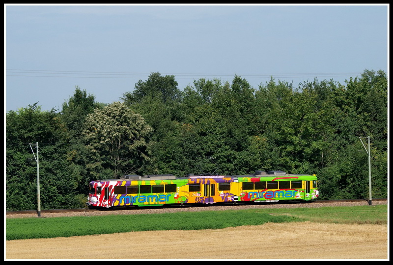 Der fahrende Farbenkasten der OEG: Der Wagen 115 wurde von einem Knstler in knalligen Farben bemalt und wirbt fr das Miramar in Weinheim. Zwischen Ltzelsachsen und Hohensachsen begegnete mit der Wagen am 1.8.09