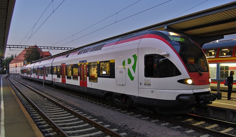 Der falsche Seehas. berraschend vom Basler befrdert musste doch ein abendlicher Schuss her. (Konstanz, 23. August 2009)