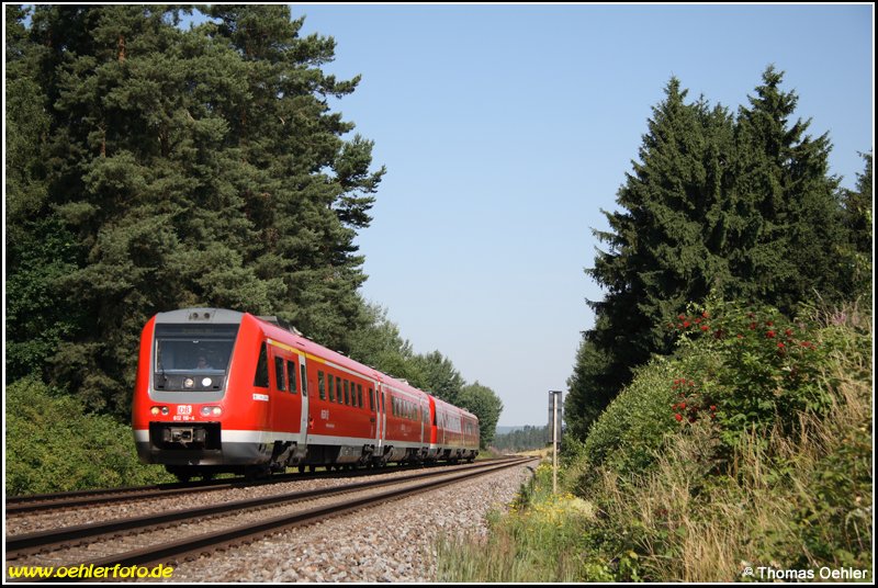 Der Franken-Sachsen-Express in Form von 612 116 ist am 01.07.08 im schnen Vogtland unweit von Ruppertsgrn unterwegs.