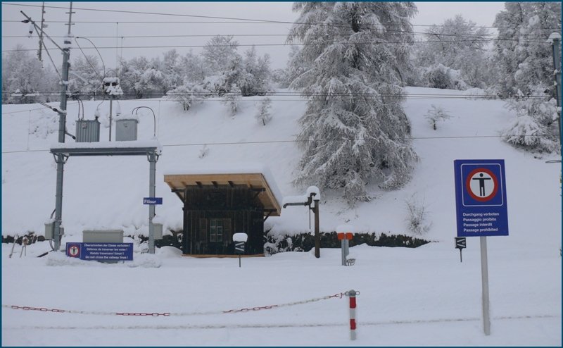 Der Htte wurde nicht zu Unrecht ein stabiles, neues Dach verpasst. (21.01.2009)