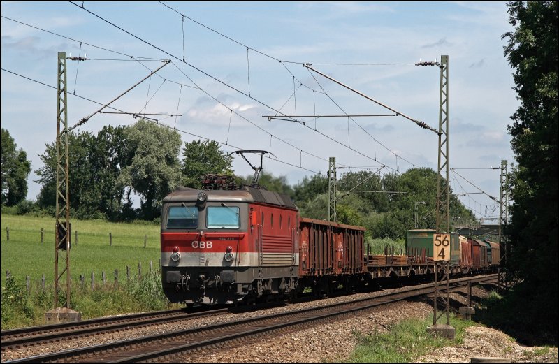 Der Innsbrucker  Alpenheuler  1144 223 (9181 1144 223-5) bringt einen gemischten Gterzug vom Rangierbahnhof Mnchen-Nord nach Italien. Hier bei Vogl wird der Zug bei ca. 30 C auf den Chip gebannt.
