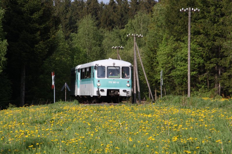 Der letzte Zug am ersten Fahrtenwochende mit 772 367-9 und 772 312-5, hat gerade den Einschnitt zwischen Sehma und Walthersdorf in Richtung Schwarzenberg verlassen. (10.05.09)