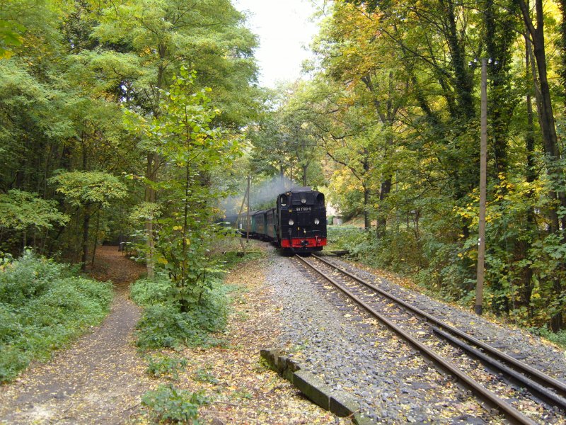 Der Mittagspersonenzug aus Richtung Radeburg gezogen von 99 1789-9 im Lnitzgrund zwischen den Hp. Lnitzgrund und Hp. Weies Ro in Richtung Radebeul Ost am 15.10.2008