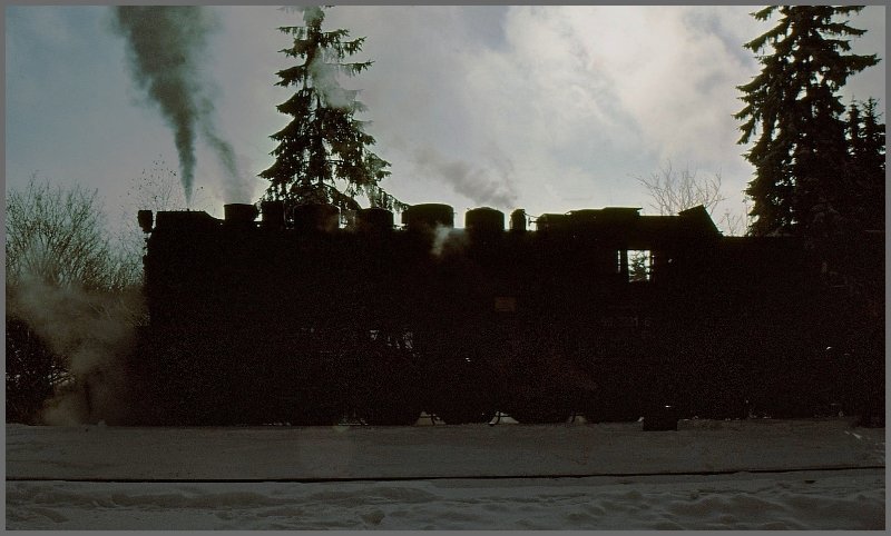 Der Nebel lichtet sich langsam und die Konturen der 99 7231-6 zeichnen sich ab am Morgenhimmel ber Drei Annen Hohne. (Archiv 12/1990)