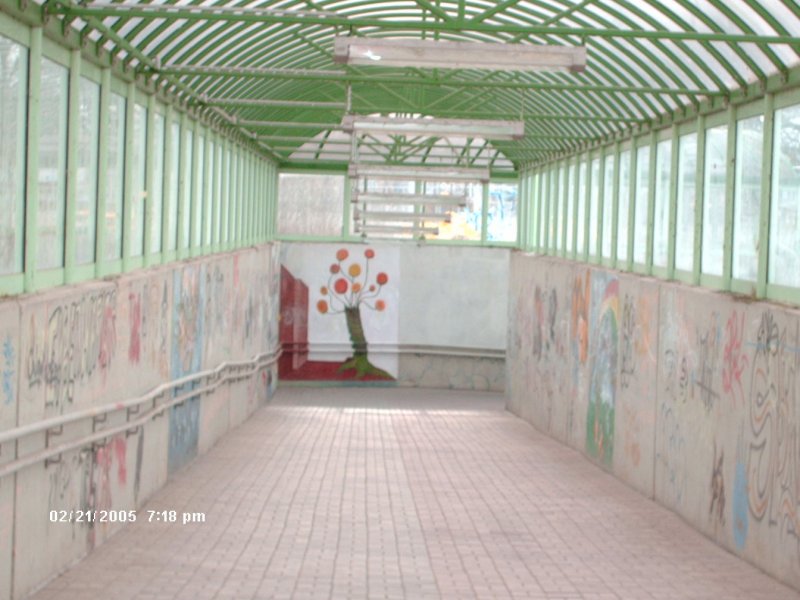 Der Personentunnel verbindet in Grfenhainichen Gleis1 zu Gleis2 oder fr Fahrrder die in die Stadt wollen.