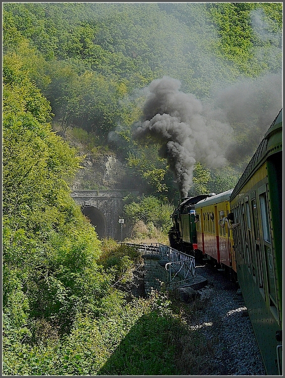 Der PFT Museumszug mit der P 8 Dampflok 64.169 n�hert sich dem Tunnel in Purnode auf seiner R�ckreise nach Spontin auf der landschaflich wundersch�nen  Ligne du Bocq . 16.08.09 (Jeanny) 