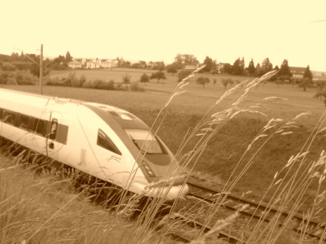 Der RABDe 500 026 am 6. Juni 2008 zwischen T�gerwilen Dorf und Kreuzlingen Bernrain.