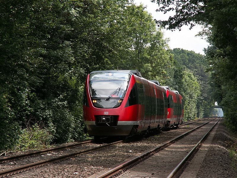 Der RE10  Niers-Express  fhrt in Richtung Kleve. Die Strecke zwischen Krefeld und Kempen ist nahezu schnurgerade und fhrt durch dieses kleine Wldchen und ber etliche Felder. Das Foto stammt vom 31.05.2007